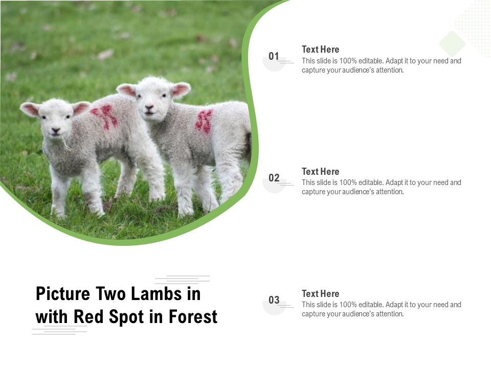 Picture_Two_Lambs_In_With_Red_Spot_In_Forest_Ppt_PowerPoint_Presentation_Icon_Background_Images_PDF_Slide_1.jpg