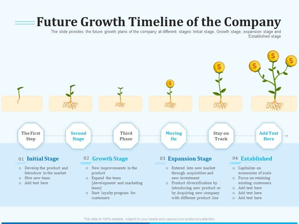 Pitch_Deck_For_Seed_Financing_Future_Growth_Timeline_Of_The_Company_Ppt_Icon_Layout_PDF_Slide_1.jpg