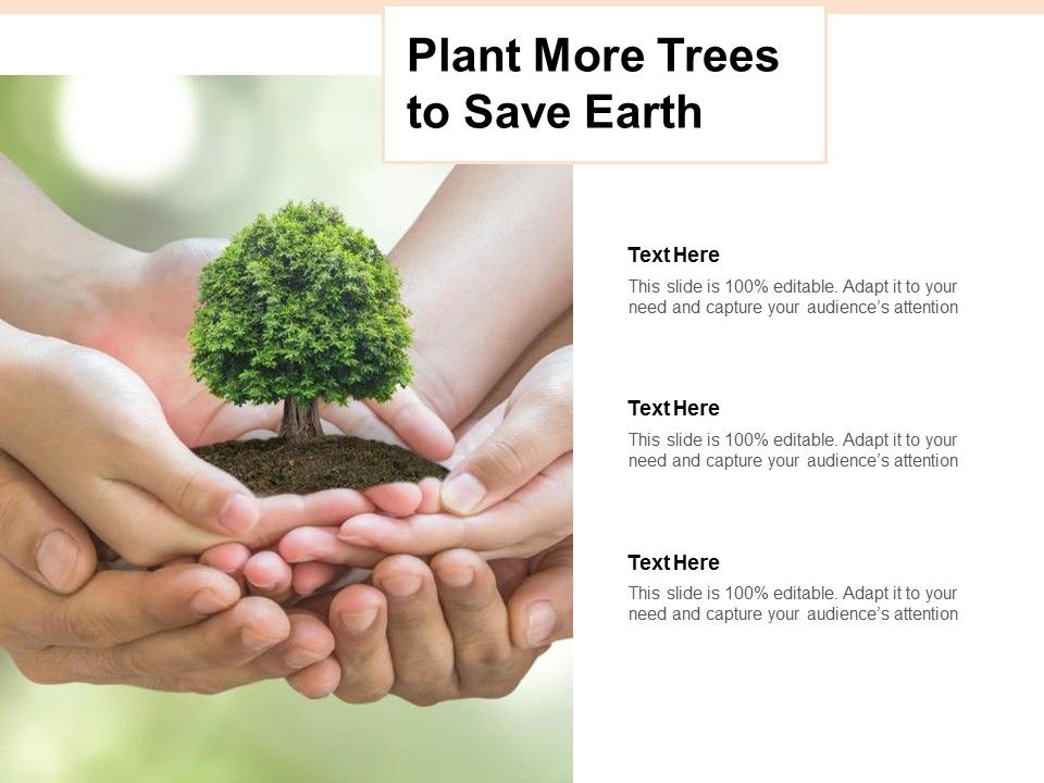 Plant More Trees To Save Earth Ppt PowerPoint Presentation Model Sample