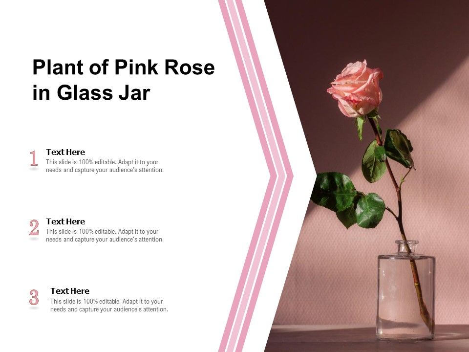 Plant_Of_Pink_Rose_In_Glass_Jar_Ppt_PowerPoint_Presentation_Icon_Show_PDF_Slide_1.jpg