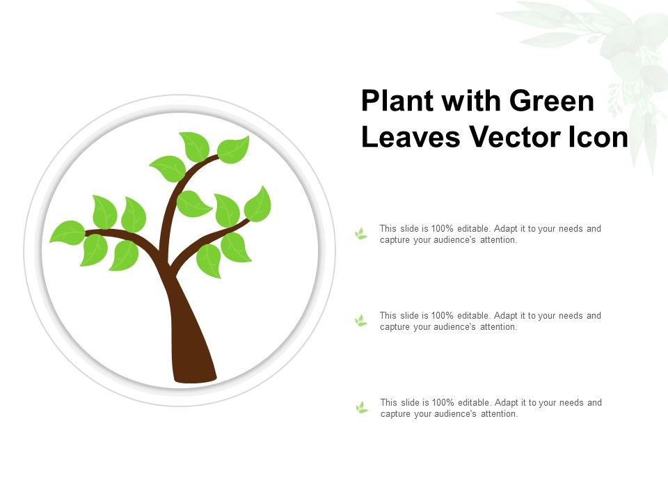 Plant_With_Green_Leaves_Vector_Icon_Ppt_Model_Diagrams_PDF_Slide_1.jpg