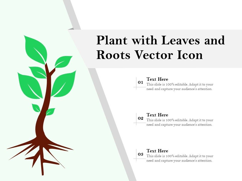Plant_With_Leaves_And_Roots_Vector_Icon_Ppt_PowerPoint_Presentation_Summary_Tips_PDF_Slide_1.jpg