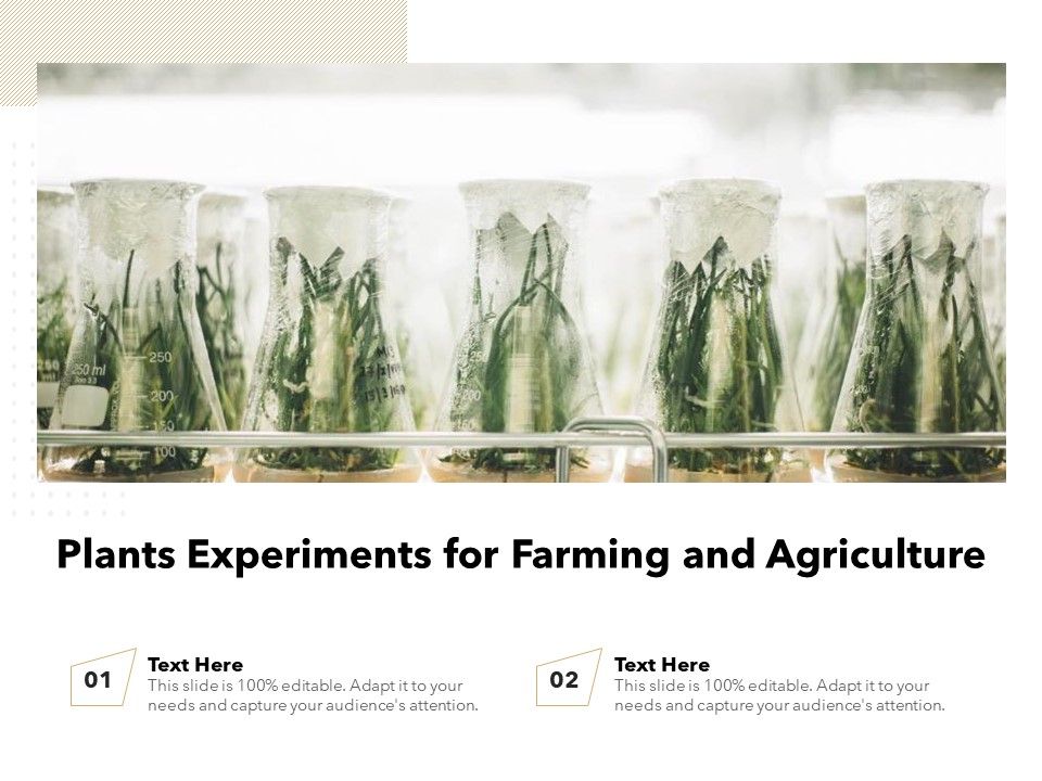 Plants_Experiments_For_Farming_And_Agriculture_Ppt_PowerPoint_Presentation_Icon_Examples_PDF_Slide_1.jpg