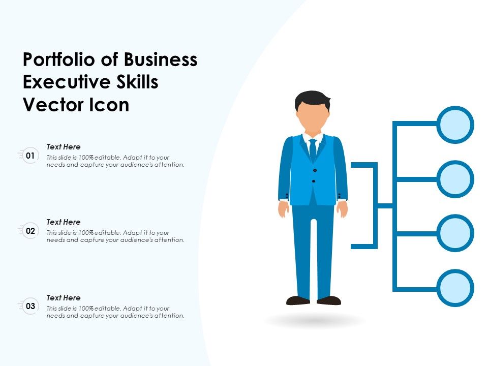 Portfolio_Of_Business_Executive_Skills_Vector_Icon_Ppt_PowerPoint_Presentation_Ideas_Professional_PDF_Slide_1.jpg
