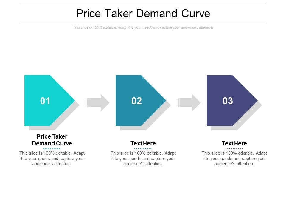 Price Taker Demand Curve Ppt PowerPoint Presentation Outline Structure