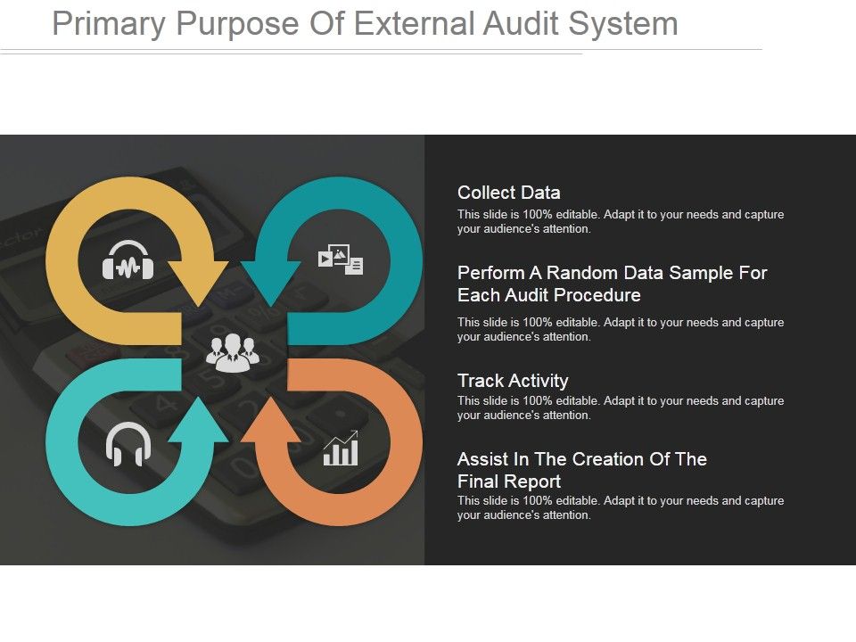Primary Purpose Of External Audit System Ppt PowerPoint Presentation Rules