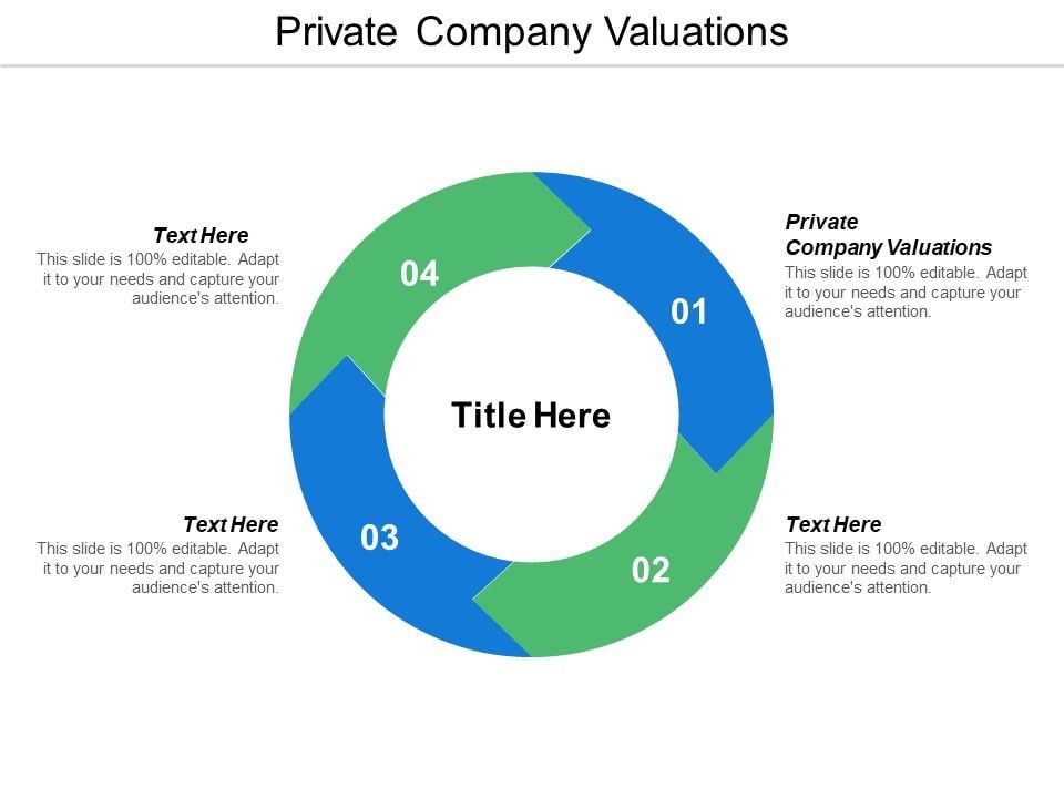 Private_Company_Valuations_Ppt_PowerPoint_Presentation_Icon_Introduction_Cpb_Slide_1.jpg