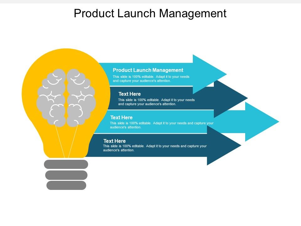 Product_Launch_Management_Ppt_PowerPoint_Presentation_Icon_Graphics_Cpb_Slide_1.jpg