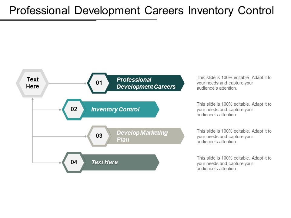 Professional_Development_Careers_Inventory_Control_Develop_Marketing_Plan_Ppt_PowerPoint_Presentation_Icon_Show_Slide_1.jpg
