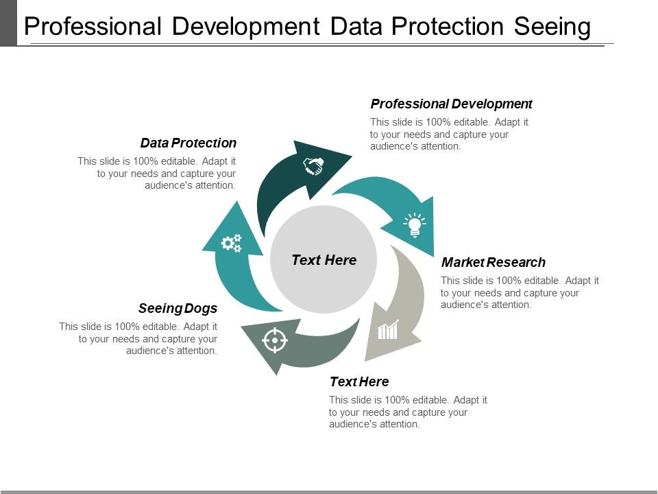 Professional_Development_Data_Protection_Seeing_Dogs_Market_Research_Ppt_PowerPoint_Presentation_Icon_Graphics_Template_Slide_1.jpg