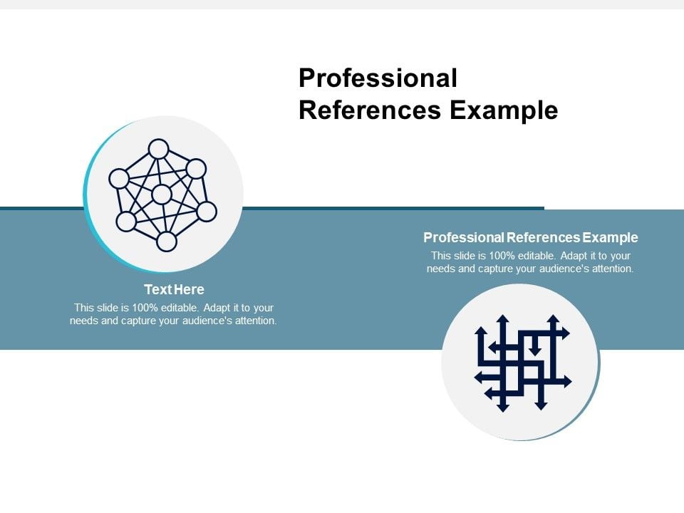 Professional References Example Ppt PowerPoint Presentation Templates Cpb