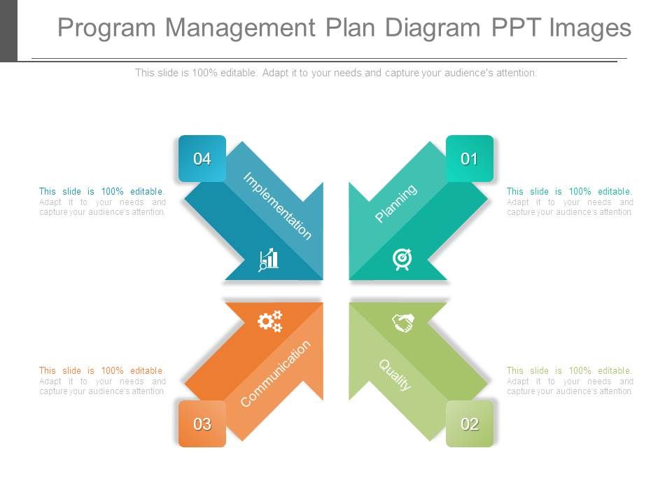 Program Management Plan Diagram Ppt Images