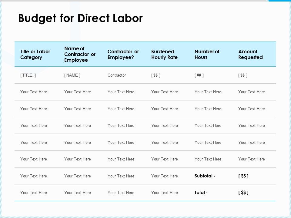 Project_Budget_Budget_For_Direct_Labor_Ppt_PowerPoint_Presentation_Icon_Slide_PDF_Slide_1.jpg