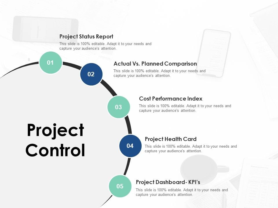 Project Control Ppt PowerPoint Presentation Outline Infographic Template