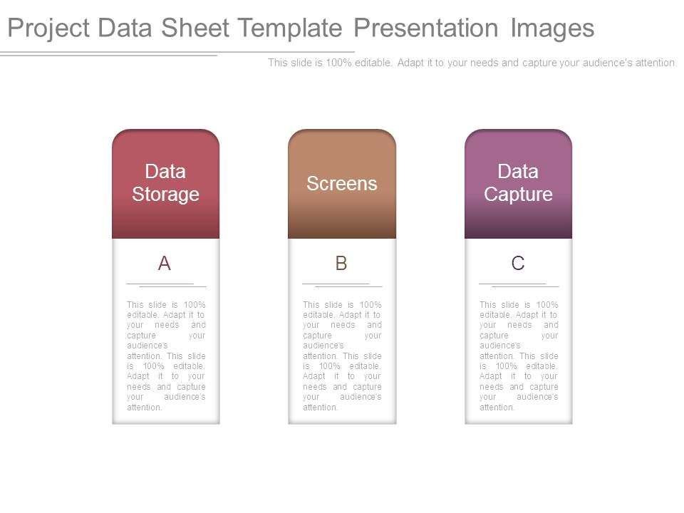Project Data Sheet Template Presentation Images