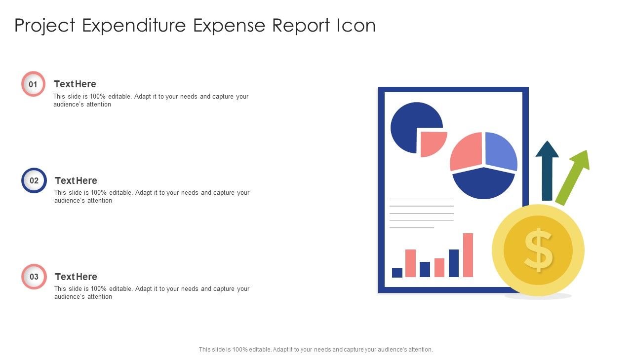 Project_Expenditure_Expense_Report_Icon_Ppt_Infographics_Skills_PDF_Slide_1.jpg