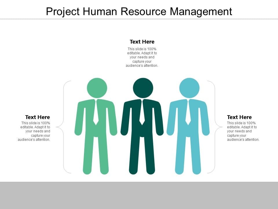 Project Human Resource Management Ppt PowerPoint Presentation Portfolio ...