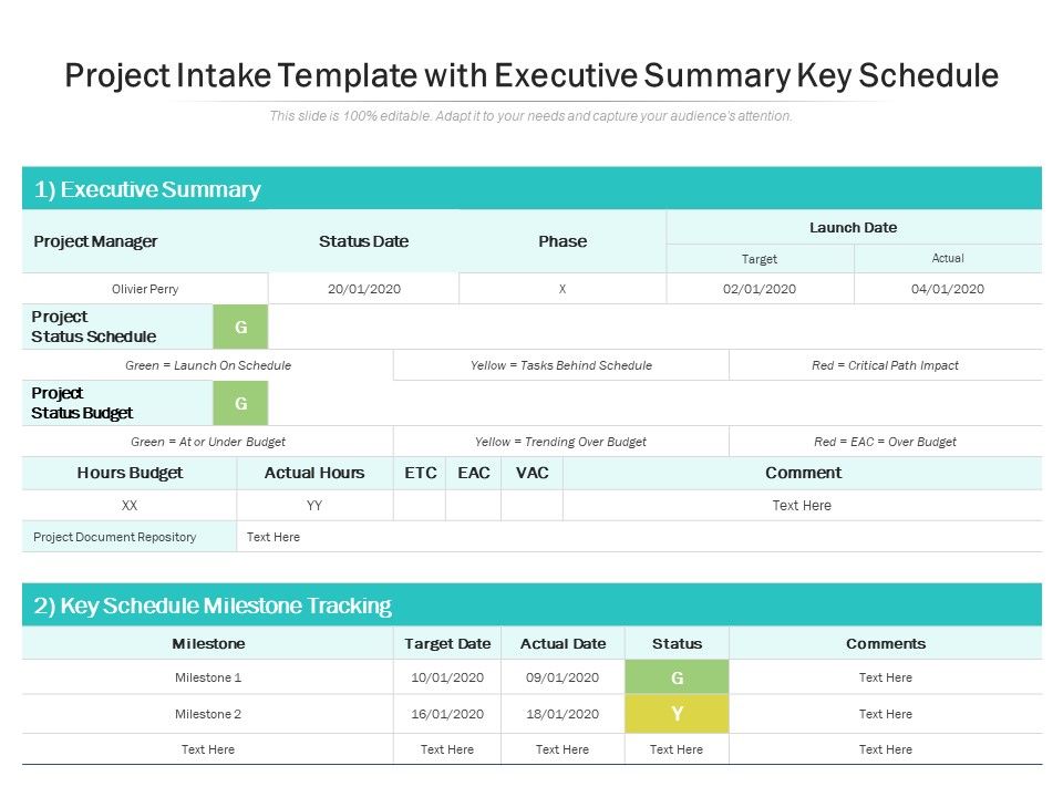 Project_Intake_Template_With_Executive_Summary_Key_Schedule_Ppt_PowerPoint_Presentation_Summary_Icon_Slide_1.jpg