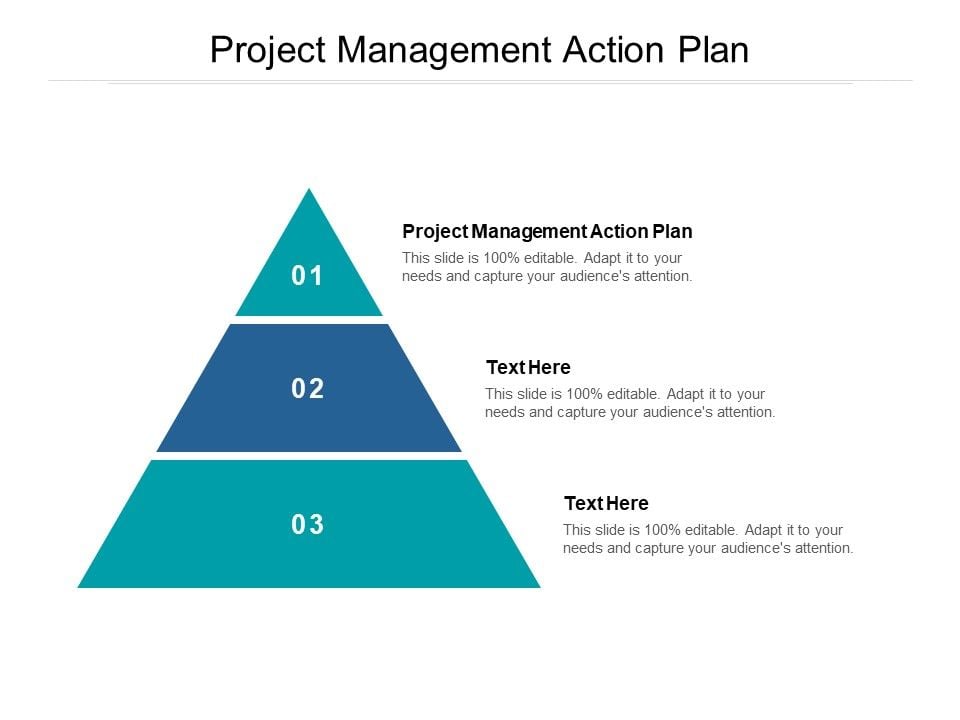 Project_Management_Action_Plan_Ppt_PowerPoint_Presentation_Icon_Graphics_Design_Cpb_Slide_1.jpg