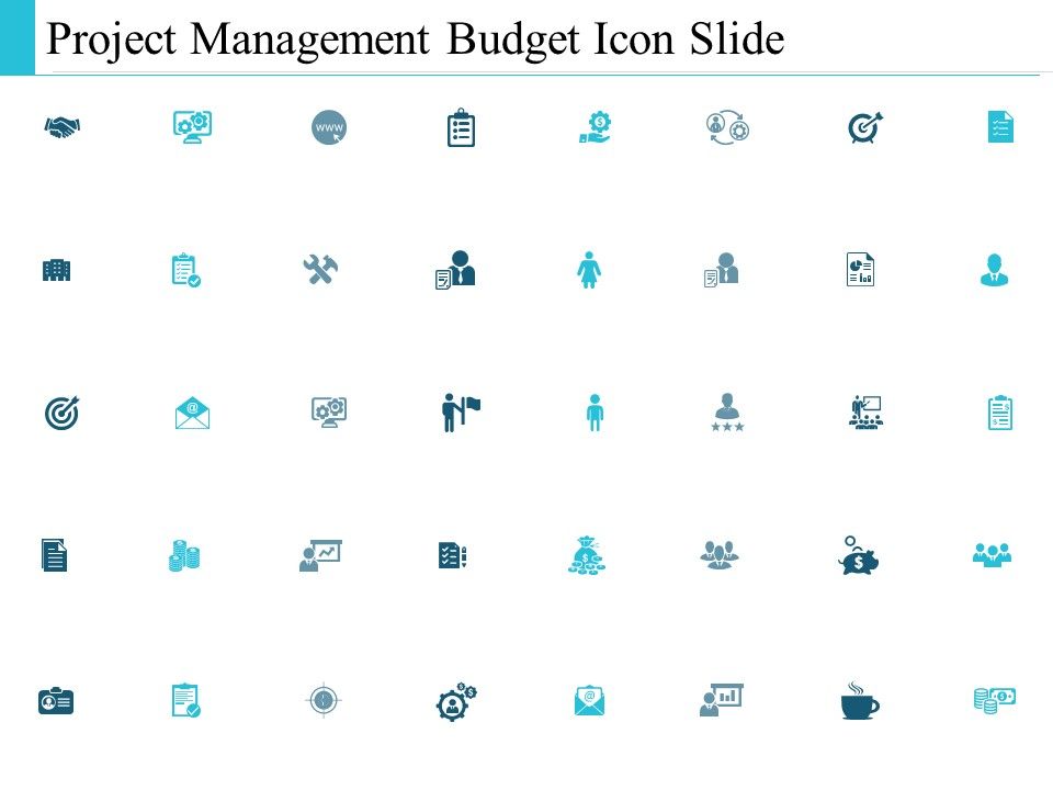 Project Management Budget Ppt PowerPoint Presentation Complete Deck With Slides Slide20
