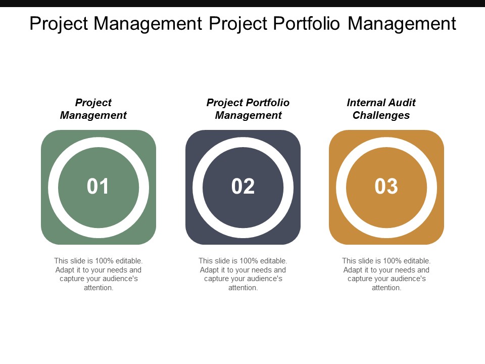 Project_Management_Project_Portfolio_Management_Internal_Audit_Challenges_Ppt_PowerPoint_Presentation_Portfolio_Slide_Slide_1.jpg