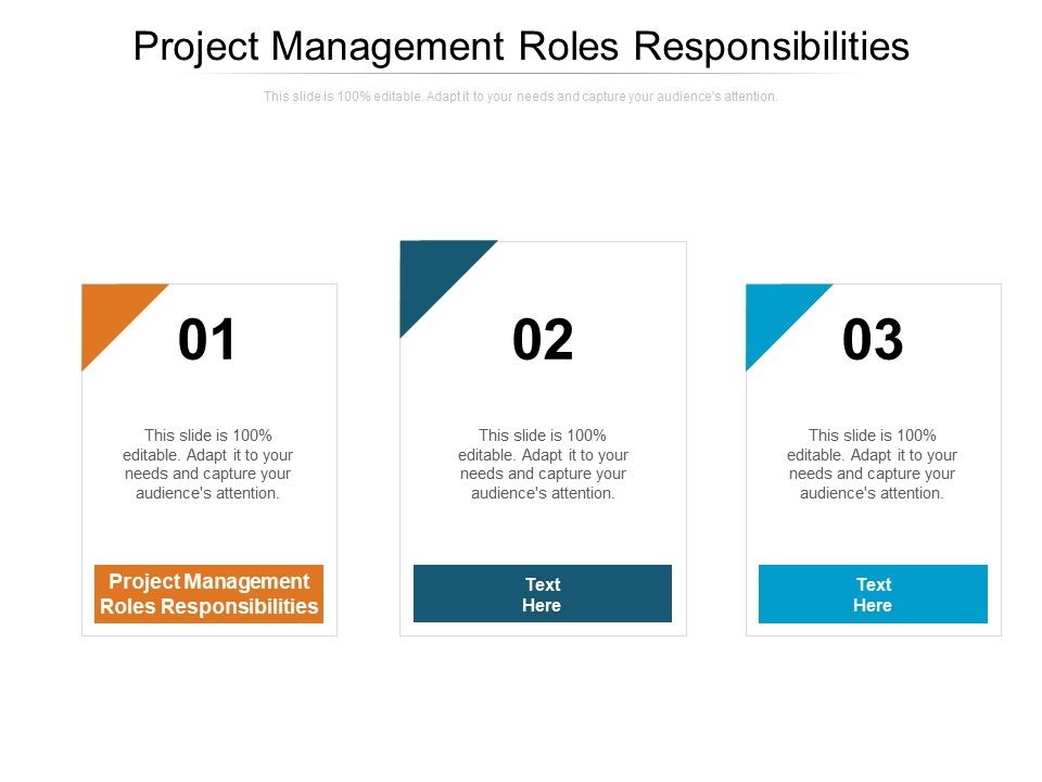 Project_Management_Roles_Responsibilities_Ppt_PowerPoint_Presentation_Layouts_Icon_Cpb_Slide_1.jpg
