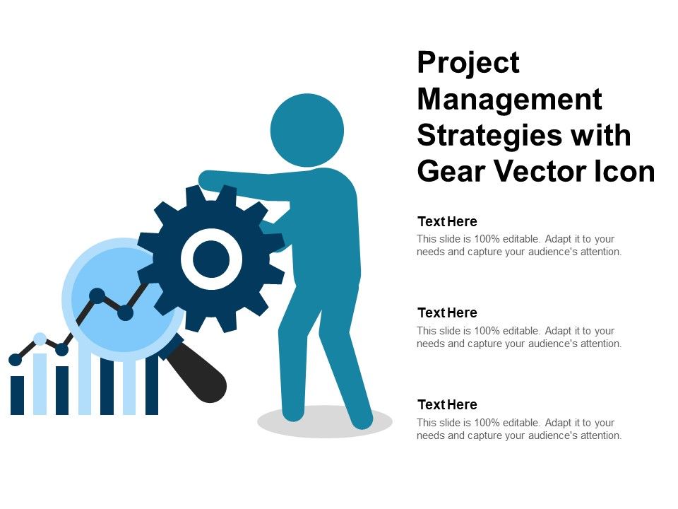 Project_Management_Strategies_With_Gear_Vector_Icon_Ppt_PowerPoint_Presentation_File_Example_Introduction_PDF_Slide_1.jpg