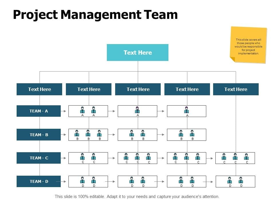 Project Management Team Ppt Powerpoint Presentation File Background Image Project Management Team Ppt Powerpoint Presentation File Background Image