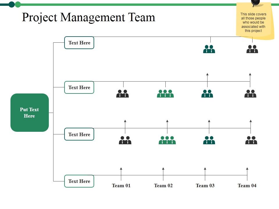 Project_Management_Team_Ppt_PowerPoint_Presentation_Icon_Show_Slide_1.jpg