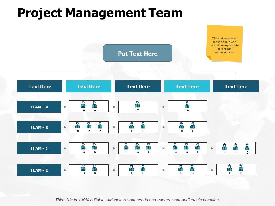Project_Management_Team_Ppt_PowerPoint_Presentation_Inspiration_Icon_Slide_1.jpg