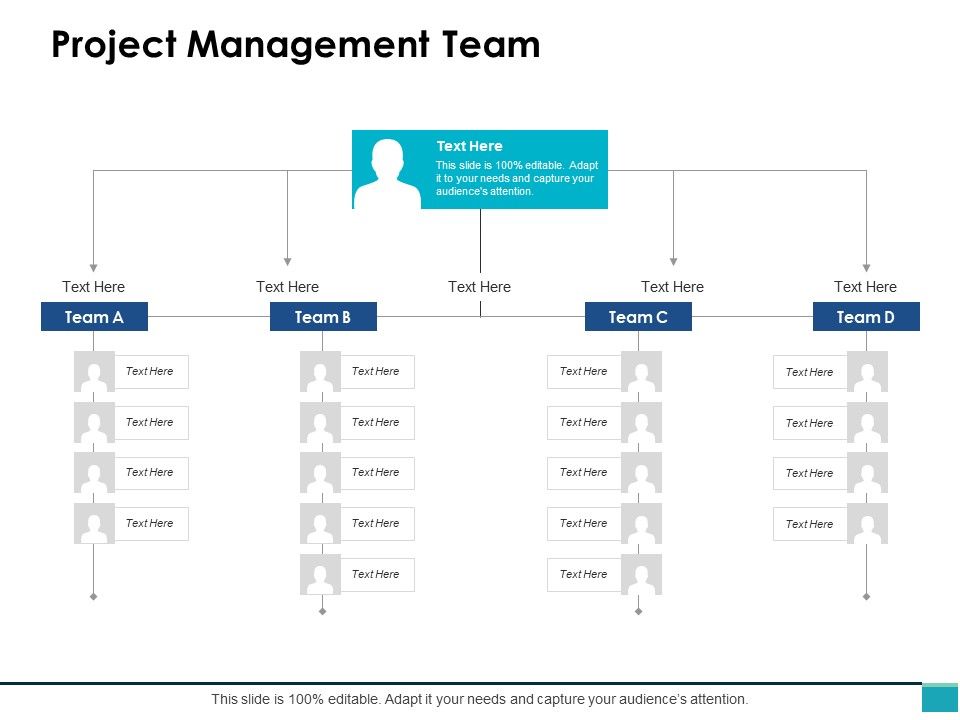 Project_Management_Team_Ppt_PowerPoint_Presentation_Outline_Icons_Slide_1.jpg