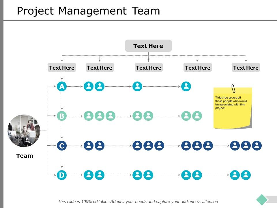 Project_Management_Team_Ppt_PowerPoint_Presentation_Summary_Icon_Slide_1.jpg