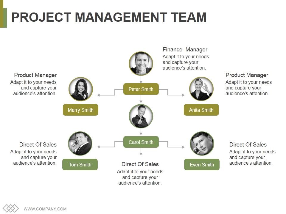 Project_Management_Team_Template_1_Ppt_PowerPoint_Presentation_Icon_Master_Slide_Slide_1.jpg