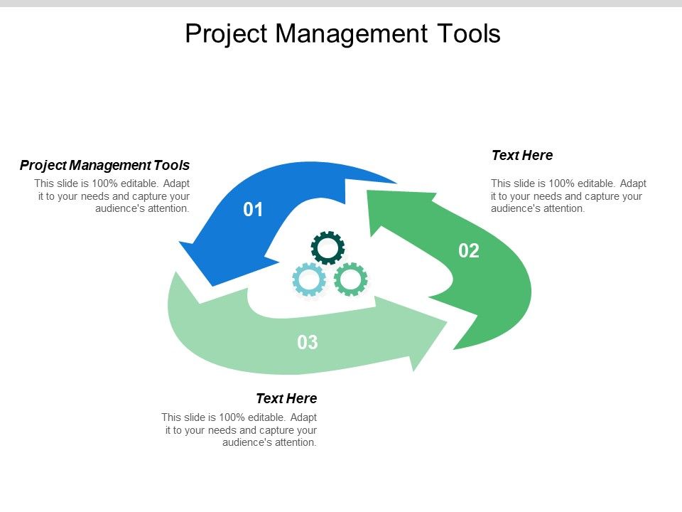 Project Management Tools Ppt PowerPoint Presentation Summary Show Cpb
