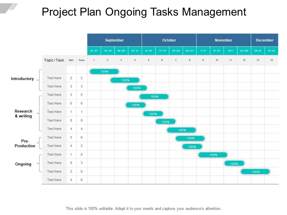 Project Plan Ongoing Tasks Management Ppt PowerPoint Presentation