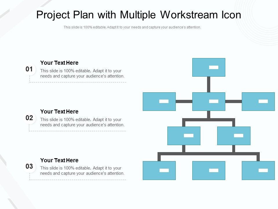 Project_Plan_With_Multiple_Workstream_Icon_Ppt_PowerPoint_Presentation_Inspiration_Diagrams_PDF_Slide_1.jpg