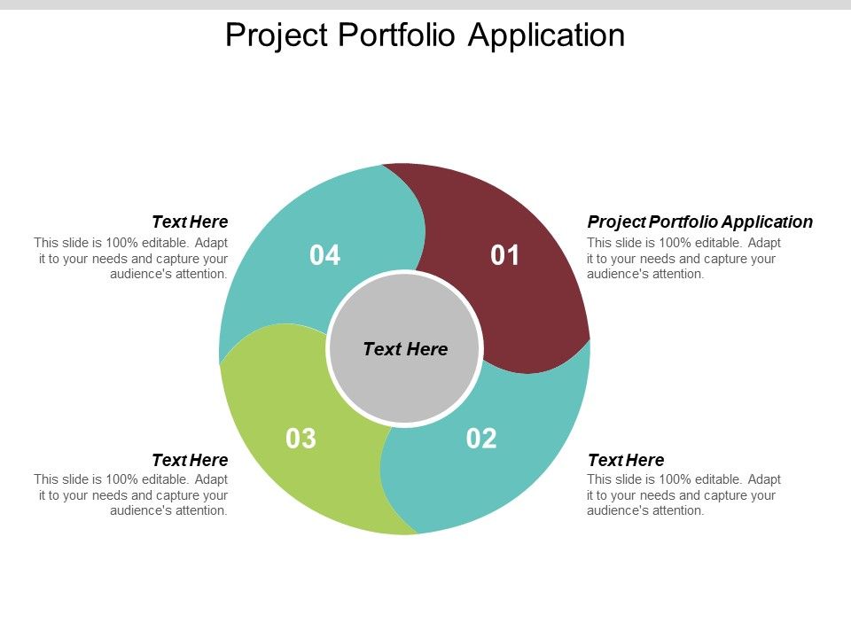 Project Portfolio Application Ppt PowerPoint Presentation Infographic ...