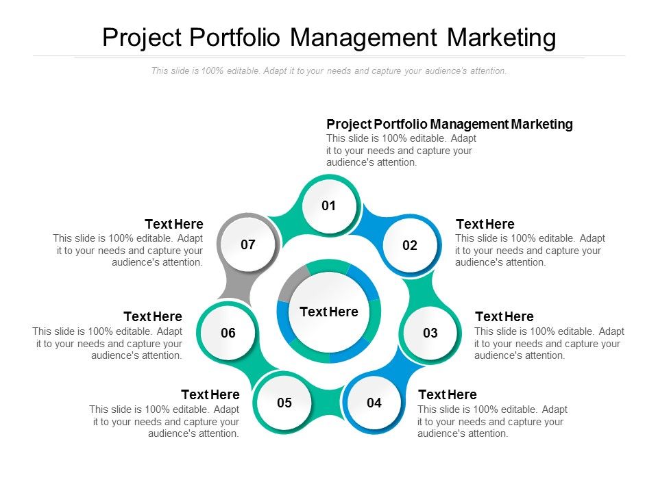 Project Portfolio Management Marketing Ppt PowerPoint Presentation ...