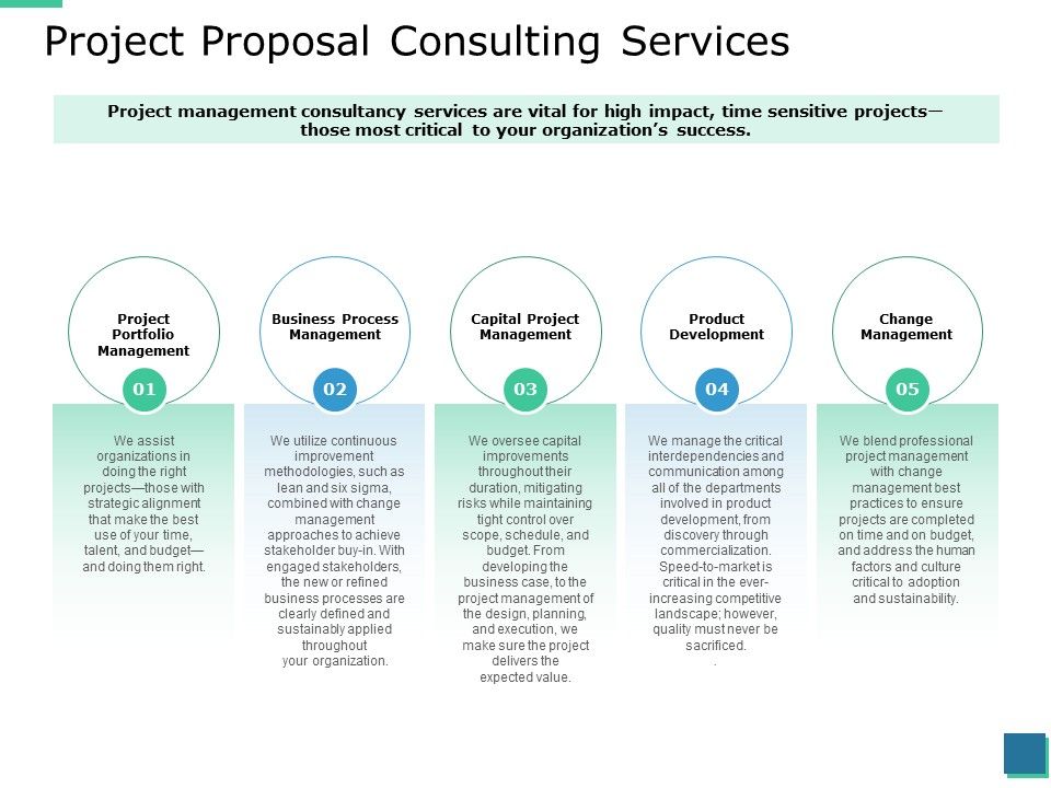 Project_Proposal_Consulting_Services_Ppt_PowerPoint_Presentation_Icon_Format_Slide_1.jpg