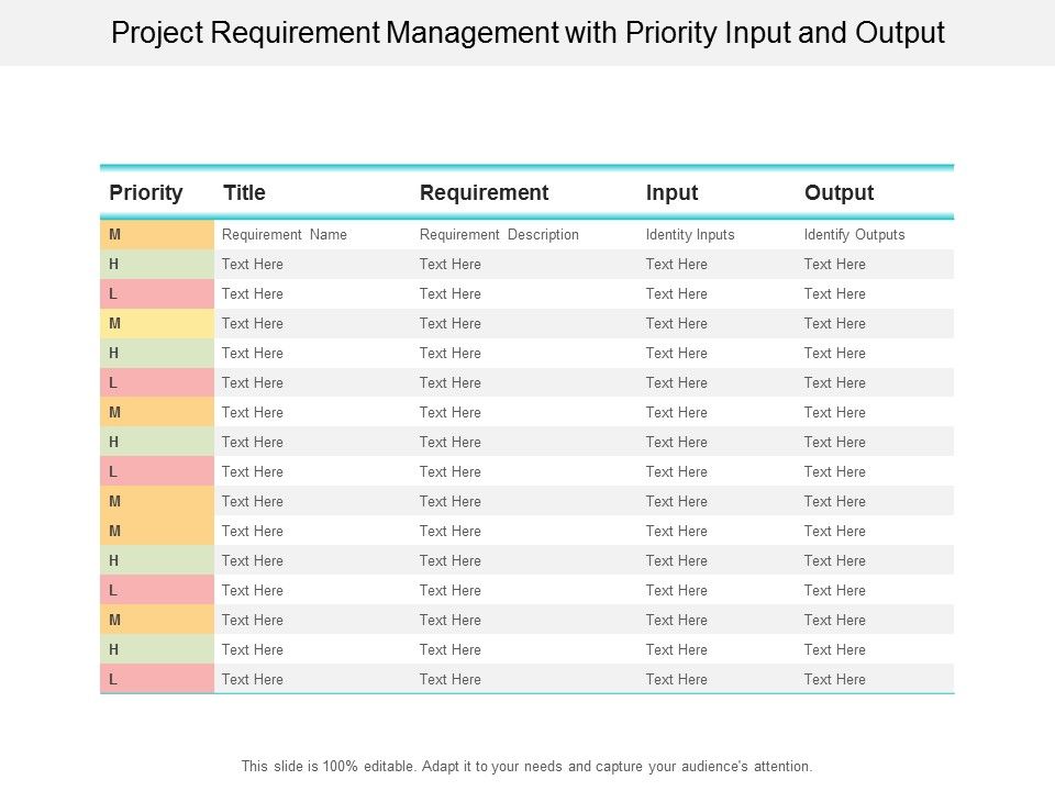 Project_Requirement_Management_With_Priority_Input_And_Output_Ppt_PowerPoint_Presentation_Slides_Icon_Slide_1.jpg