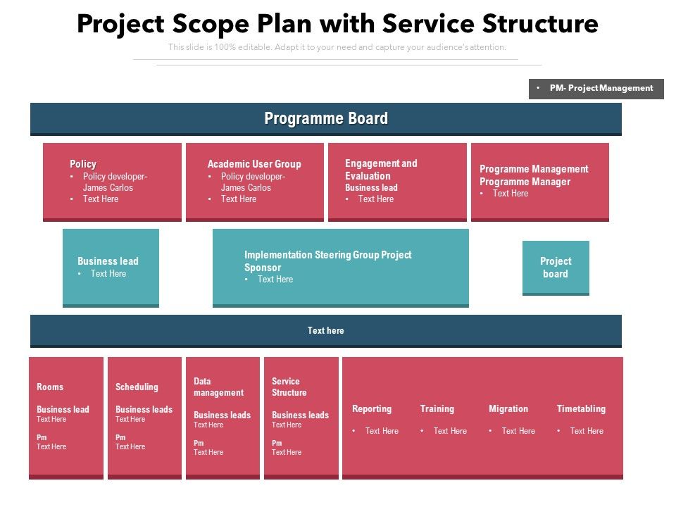 Project_Scope_Plan_With_Service_Structure_Ppt_PowerPoint_Presentation_Icon_Tips_PDF_Slide_1.jpg