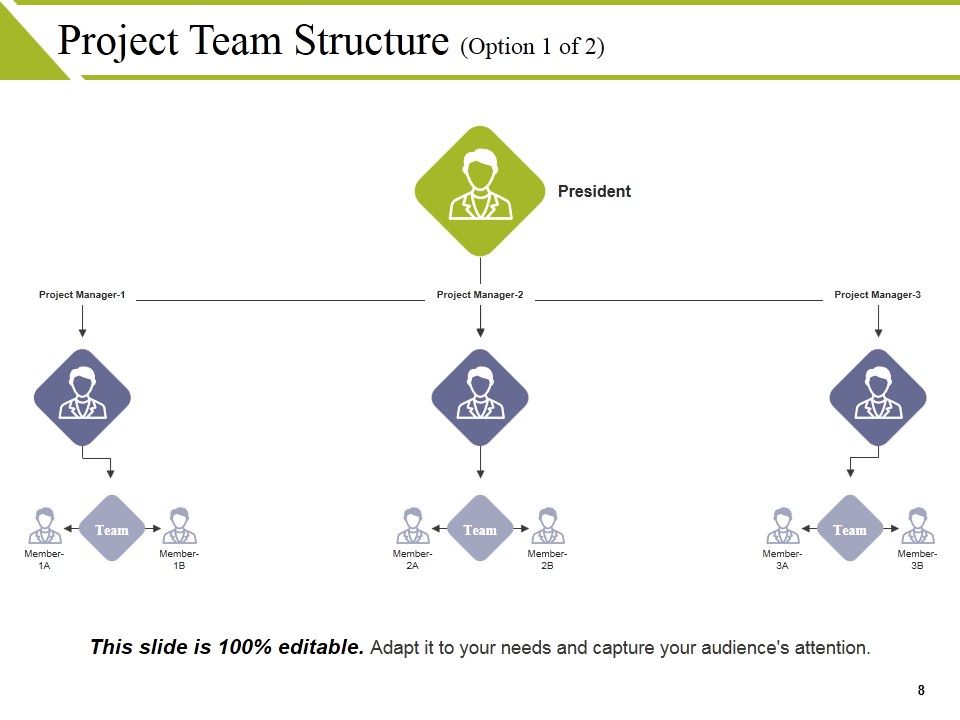 Project Structure Ppt PowerPoint Presentation Complete Deck With Slides Slide08