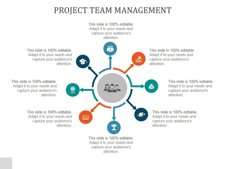Project Team Management Ppt Powerpoint Presentation Design Ideas Project Team Management Ppt Powerpoint Presentation Design Ideas