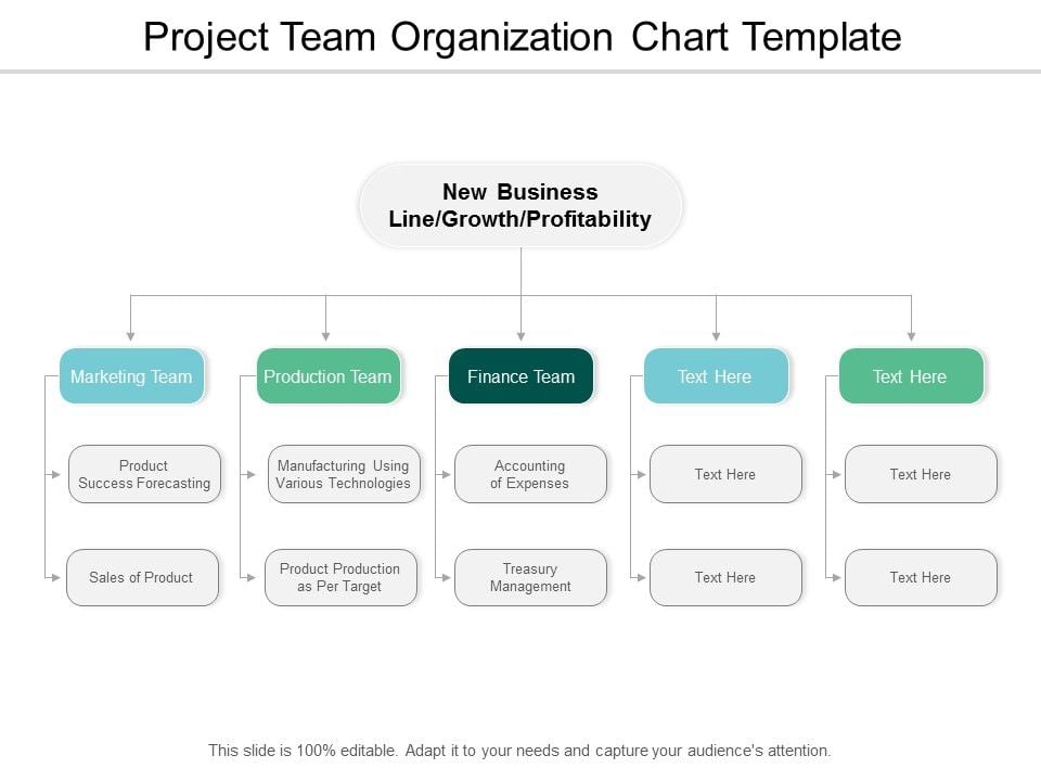 Project Team Organization Chart Template Ppt PowerPoint Presentation