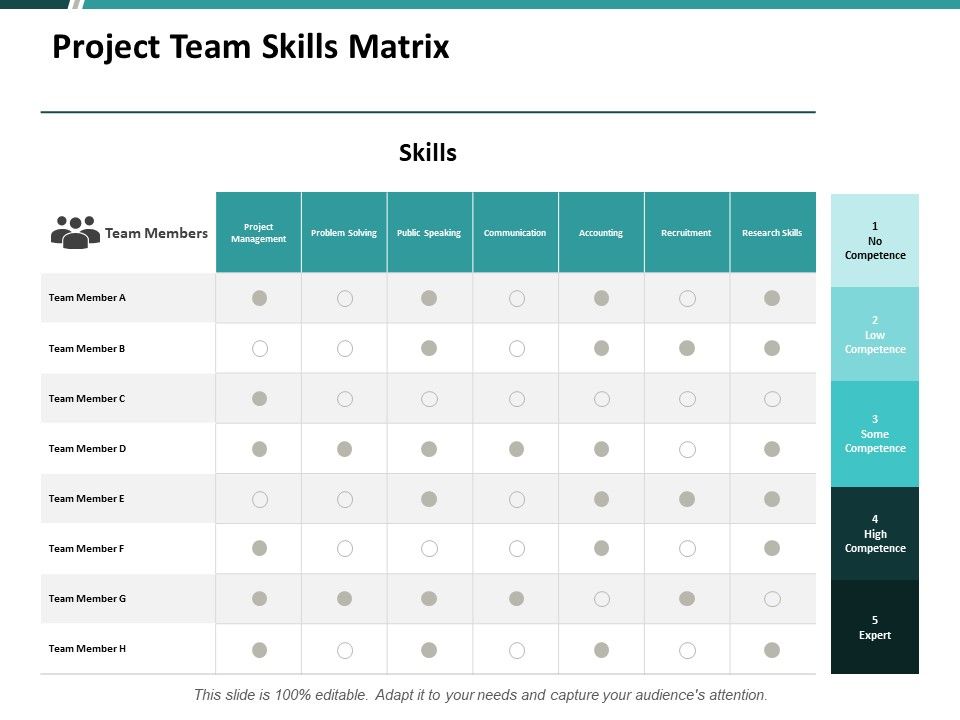Project_Team_Skills_Matrix_Ppt_PowerPoint_Presentation_Pictures_Layout_Slide_1.jpg