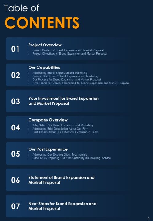 Proposal For Brand Expansion And Marketing Example Document Report Doc Pdf Ppt Slide03