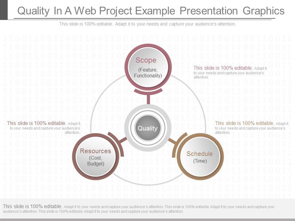 Quality In A Web Project Example Presentation Graphics Slide01