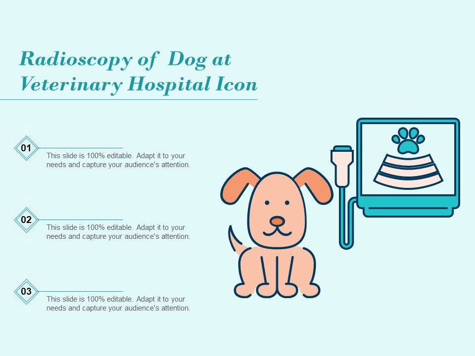 Radioscopy_Of_Dog_At_Veterinary_Hospital_Icon_Ppt_PowerPoint_Presentation_Gallery_Maker_PDF_Slide_1.jpg