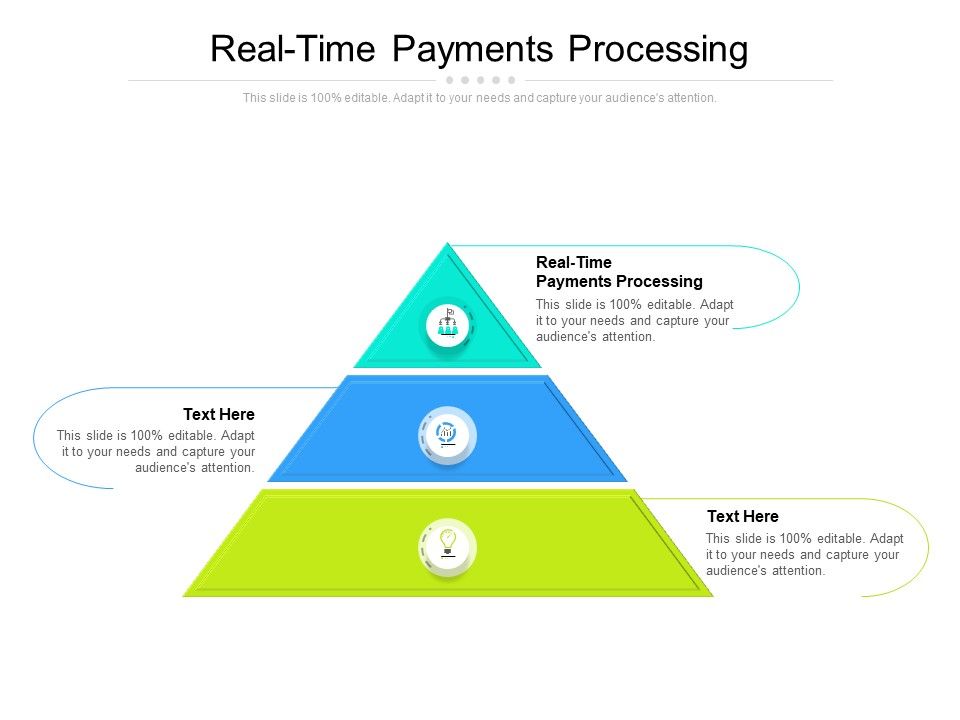 Real Time Payments Processing Ppt PowerPoint Presentation Show Picture Cpb
