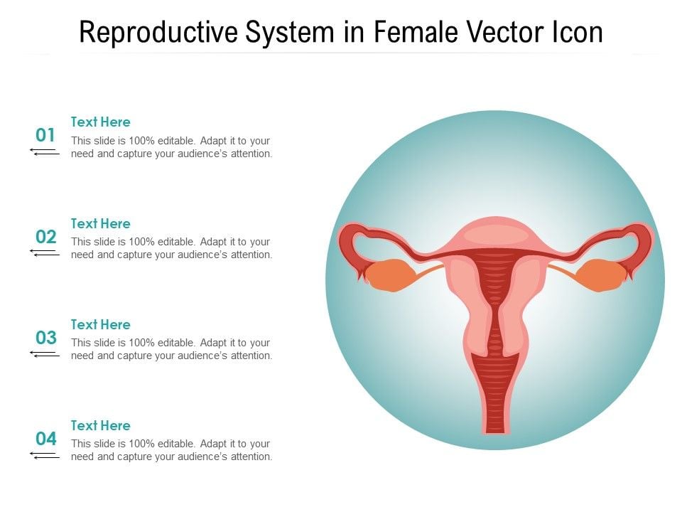 Reproductive_System_In_Female_Vector_Icon_Ppt_PowerPoint_Presentation_File_Formats_PDF_Slide_1.jpg